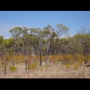 Die Vegetation neben der Straße wechselt schnell